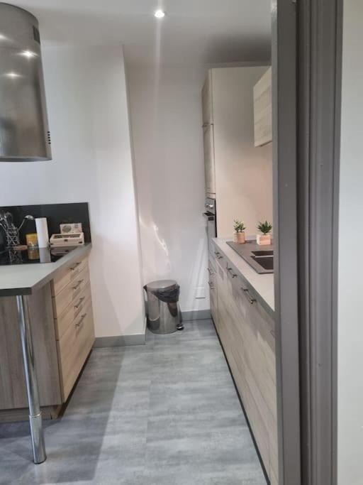 L'Ourse, Epinal,Tres Bel Appartement Quartier Port Dış mekan fotoğraf